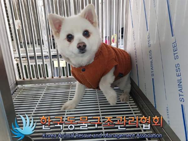 한국동물구조관리협회_411309202500014